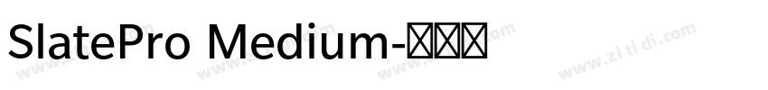 SlatePro Medium字体转换